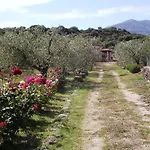 Degli Ulivi E Delle Rose Vakantiehuis Orosei
