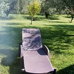Vakantiehuis Degli Ulivi E Delle Rose *