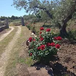Degli Ulivi E Delle Rose Vakantiehuis Orosei