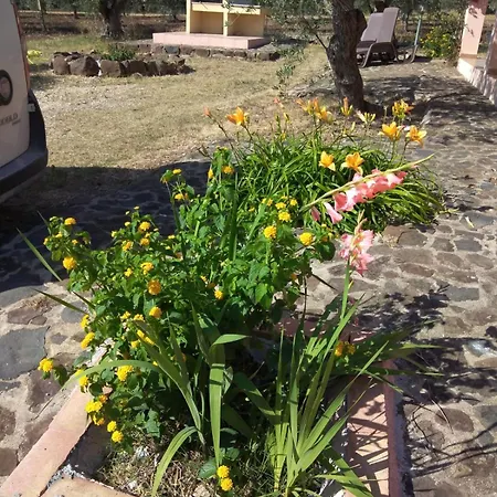 Degli Ulivi E Delle Rose Orosei