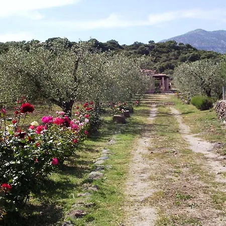 Degli Ulivi E Delle Rose Feriehus Orosei