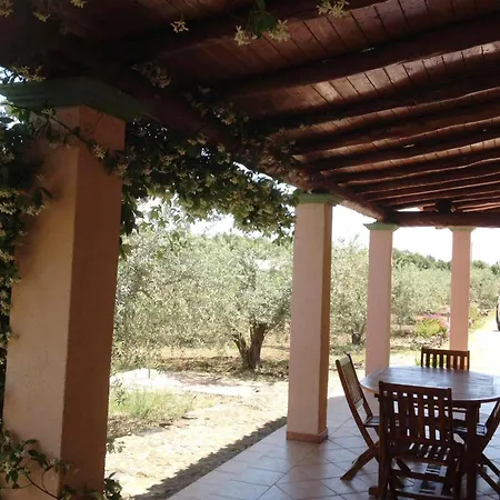 Degli Ulivi E Delle Rose 奥罗塞伊