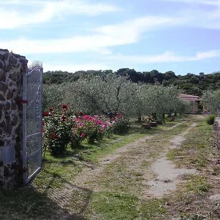 Degli Ulivi E Delle Rose Vakantiehuis Orosei