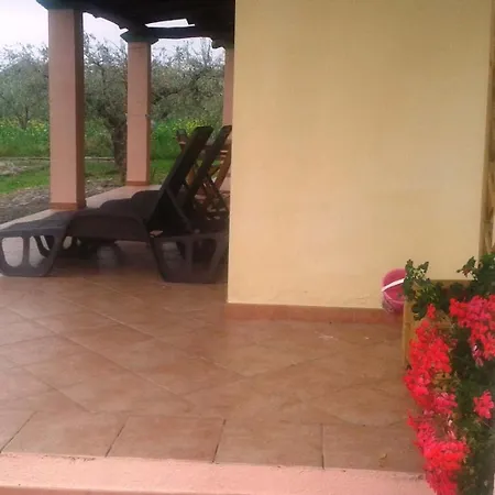 Degli Ulivi E Delle Rose