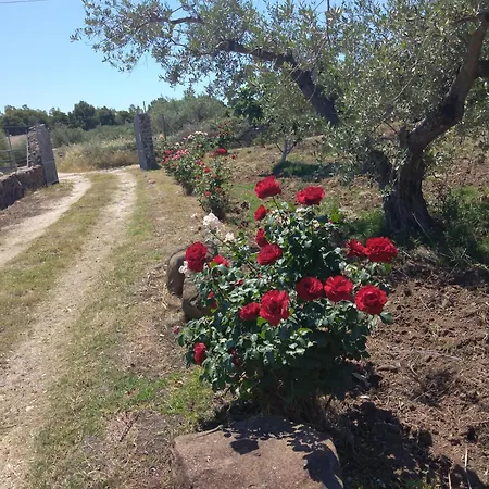 Degli Ulivi E Delle Rose Feriehus Orosei