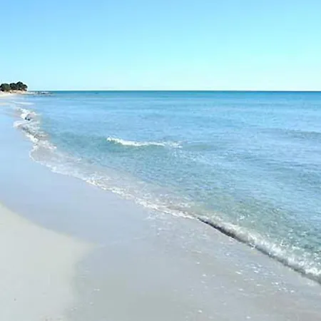 Degli Ulivi E Delle Rose Holiday home *