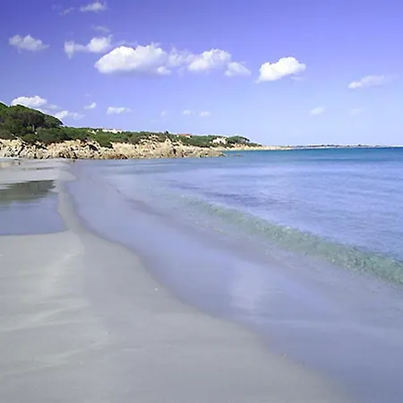 Degli Ulivi E Delle Rose