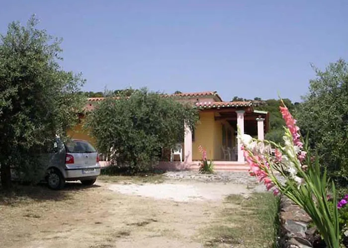 Tatil Evi Degli Ulivi E Delle Rose