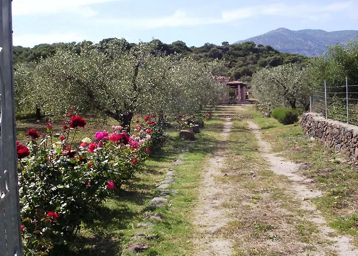 Degli Ulivi E Delle Rose Tatil Evi Orosei
