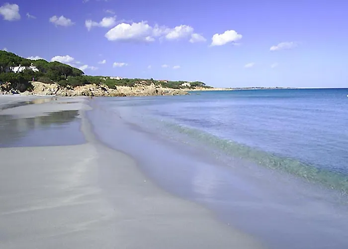 Degli Ulivi E Delle Rose